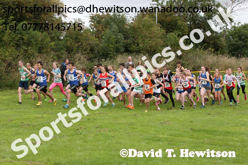 Under-15s Sunderland Harriers Open Cross Country. Photo: David T. Hewitson/Sports for All Pics